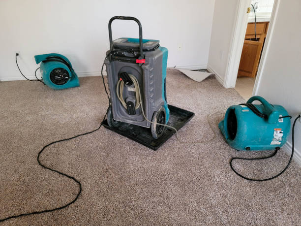 Best Water damage cleanup near me  in Sanborn, IA