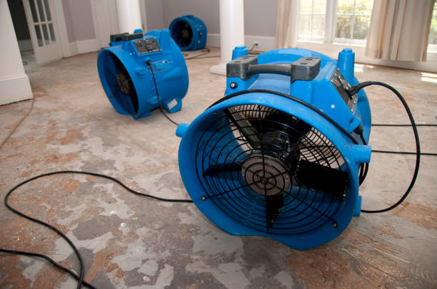 Best Professional water damage repair  in Sanborn, IA