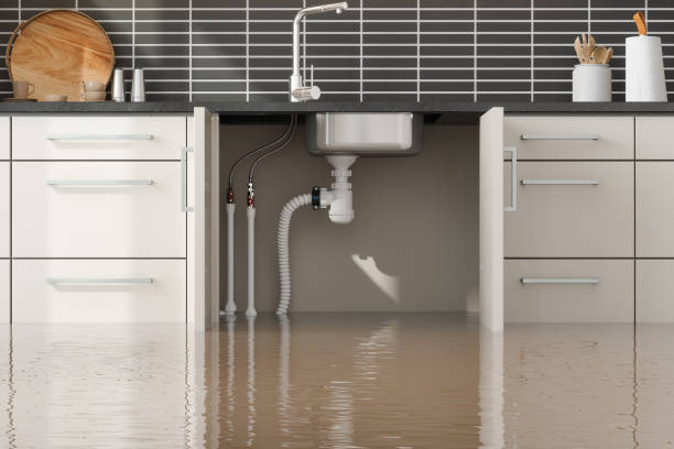 Best 24/7 water damage repair  in Sanborn, IA